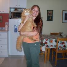 site de rencontre st-georges de beauce