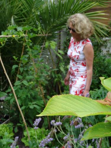 Site de rencontres 55 ans
