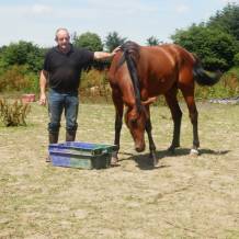 site de rencontres wayn