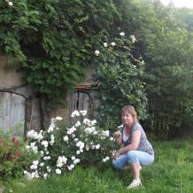 annonces rencontres kijiji