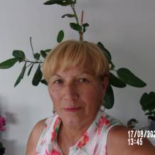 code meetic gratuit rencontrer une femme mariée à le mans