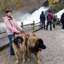 site de rencontre belg