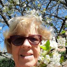 prostituée luneville