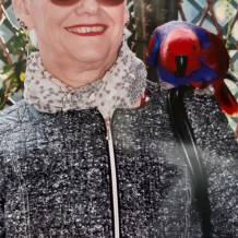 femme troyes