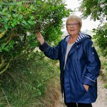 rencontre femme rostrenen