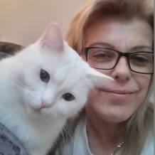 site de rencontre gratuit repentigny