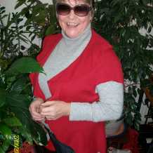 femme cougar pas de calais femme cougar pas de calais