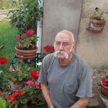 Je cherche une fille sur whatsapp picture 6
