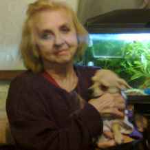 Cherche femme veuve pour mariage